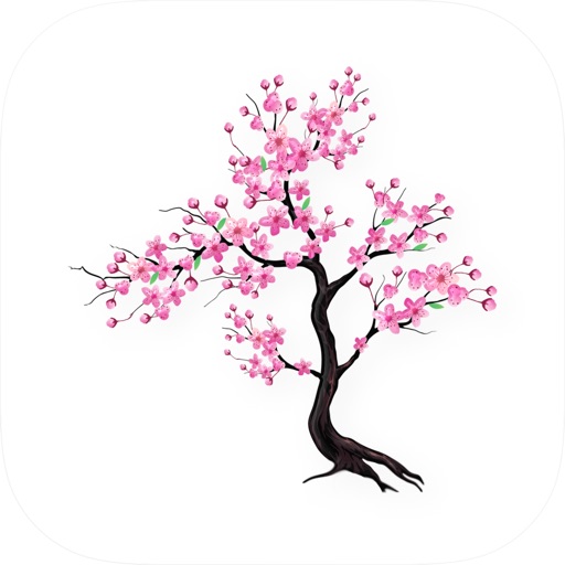 Timefully 冥想計時器：極簡專注的靜心美學